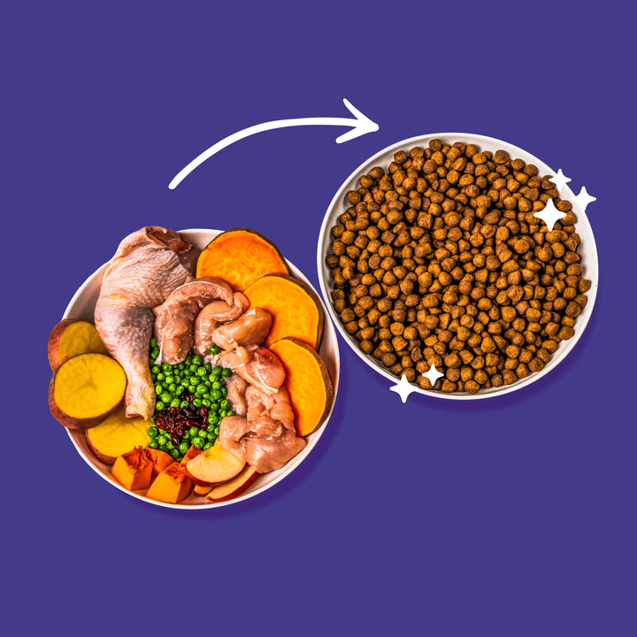 Green Pantry Skin & Coat Dog Food with Chicken