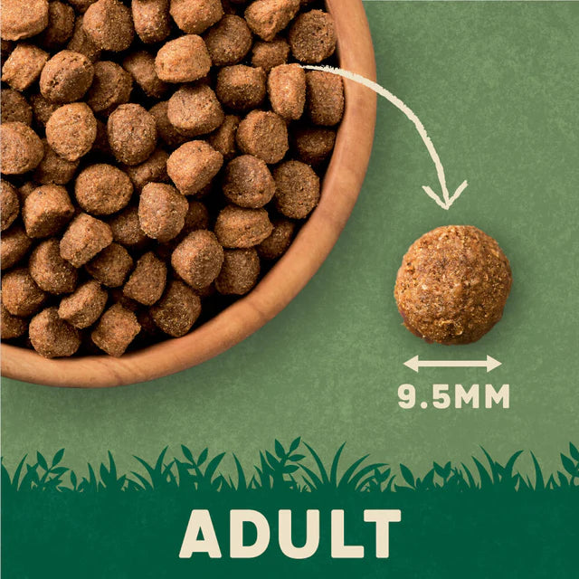 Harringtons Complete Adult Dog Food Rich in Turkey Vegetables