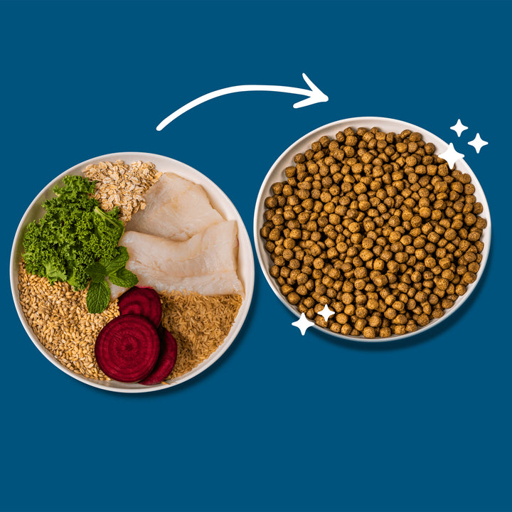 Green Pantry Weight Control Dog Food with White Fish