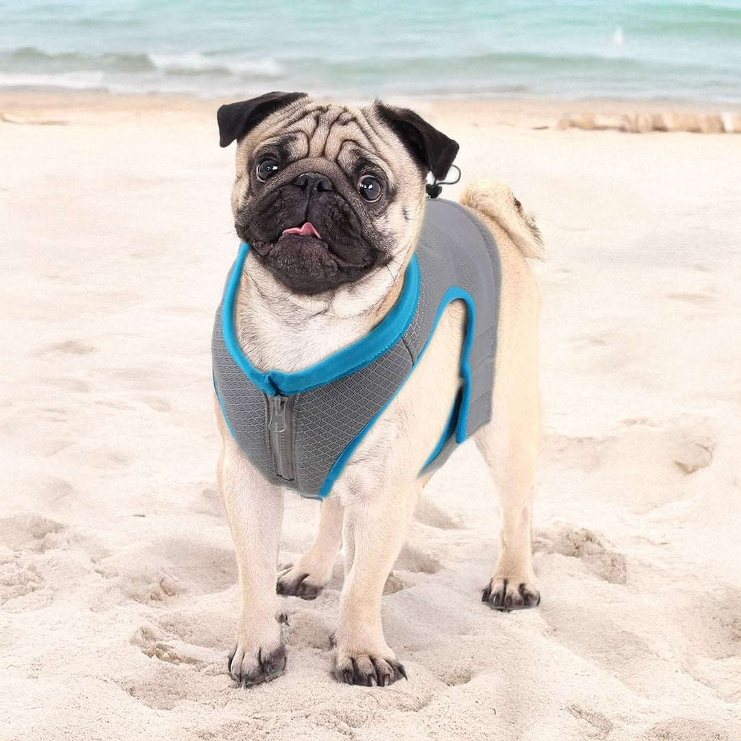 All For Paws Chill Out Cooling Vest