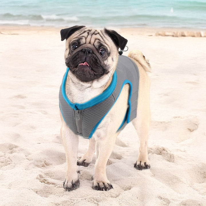 All For Paws Chill Out Cooling Vest