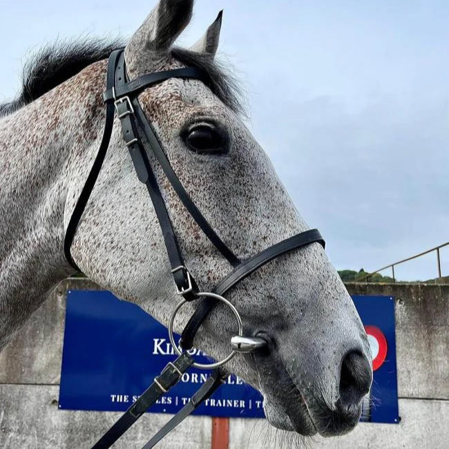 O Shepherd All Weather Synthetic Race Bridle