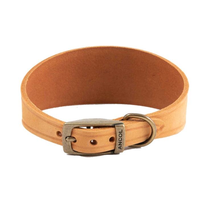 Ancol Timberwolf Greyhound Collar