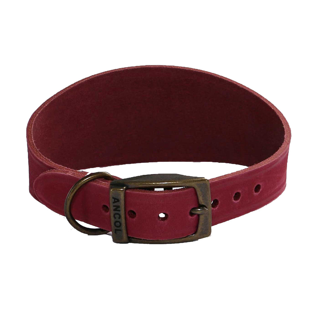 Ancol Timberwolf Greyhound Collar