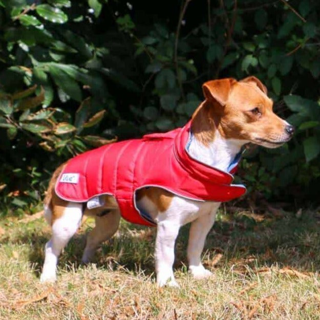 Ancol Viva Reversible Dog Coat#Red