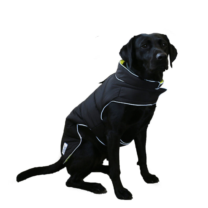 Ancol Viva Reversible Hi-Viz Dog Coat