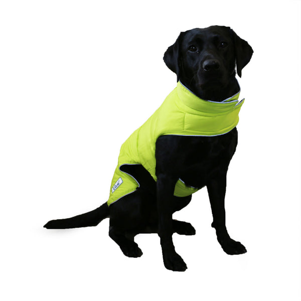 Ancol Viva Reversible Hi-Viz Dog Coat