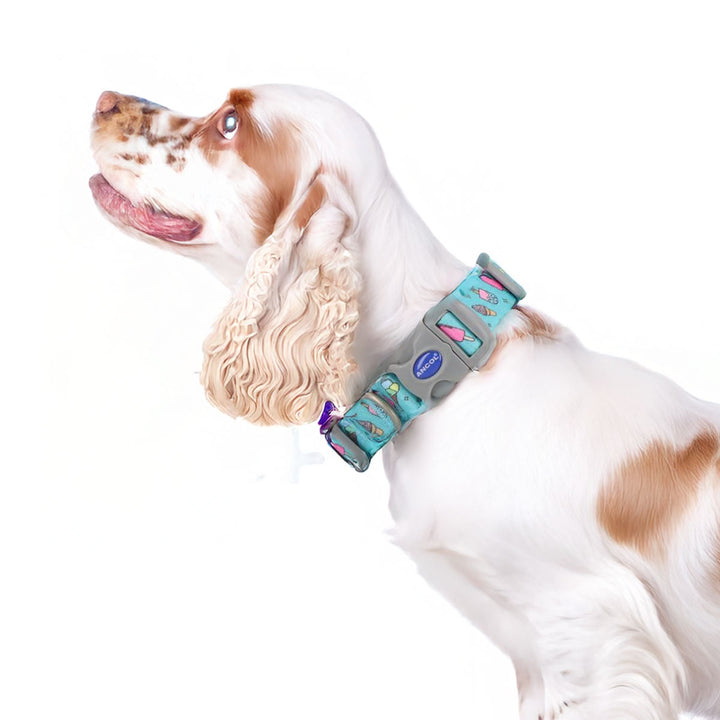 Ancol Ice Cream Patterned Collar