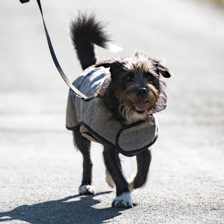 Ancol Heritage Collection Herringbone Dog Coat