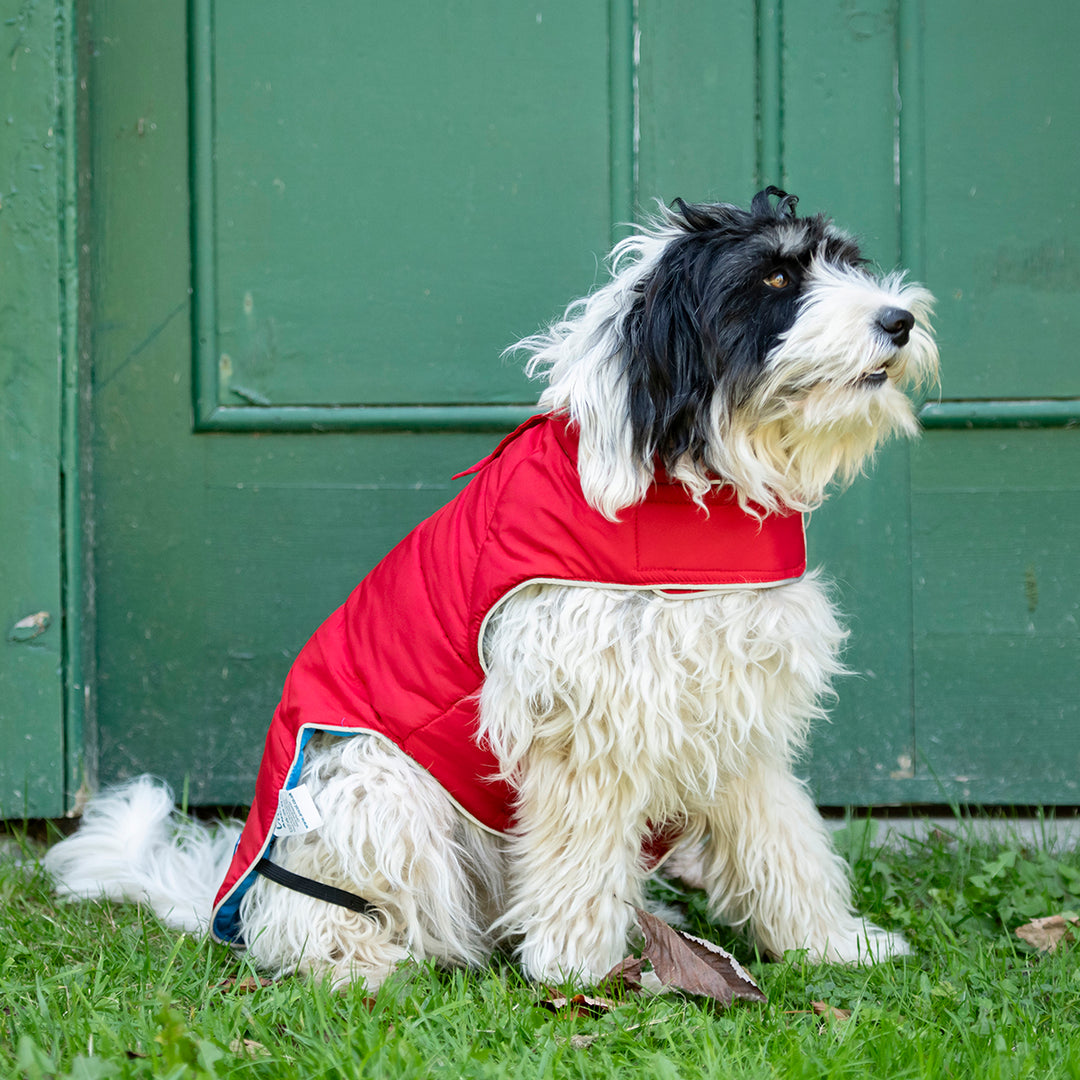 Ancol Viva Reversible Dog Coat