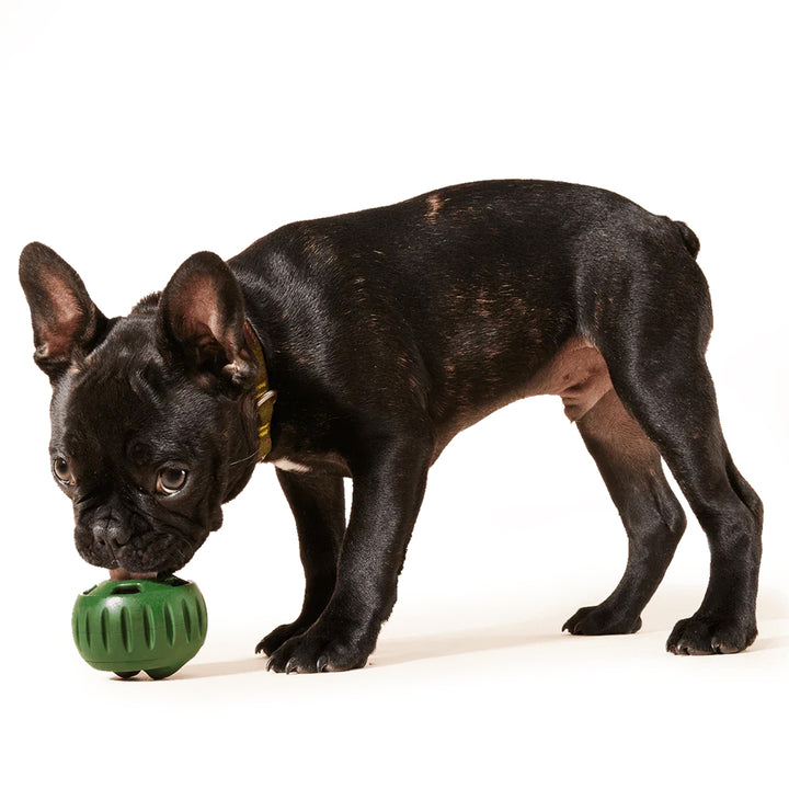 Woof Peanut Butter & Banana Dog Pops