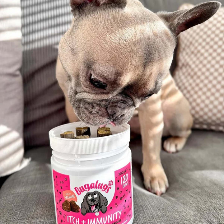 Bugalugs Itch & Immunty Chews