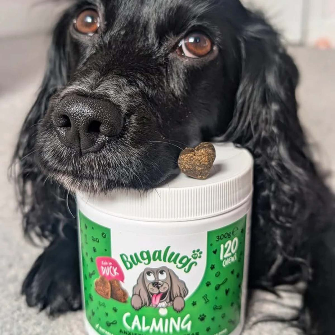 Bugalugs Calming Chews