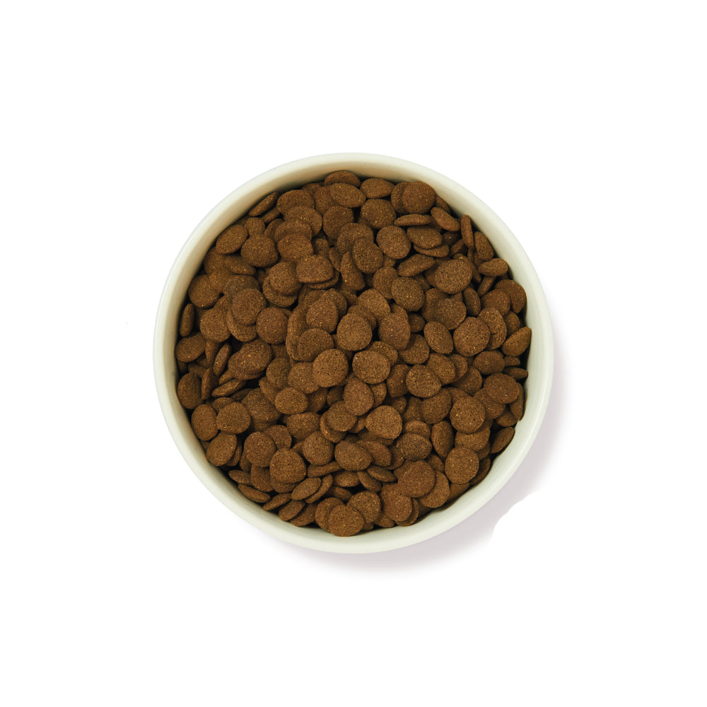 Lily's Kitchen Adult Dog Food with Lamb