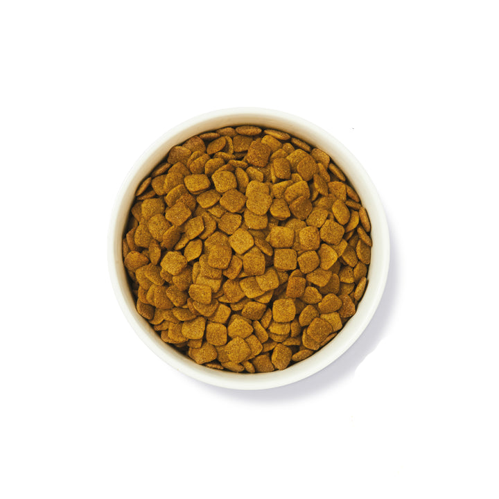 Lily's Kitchen Senior Dog Food with Turkey & Trout
