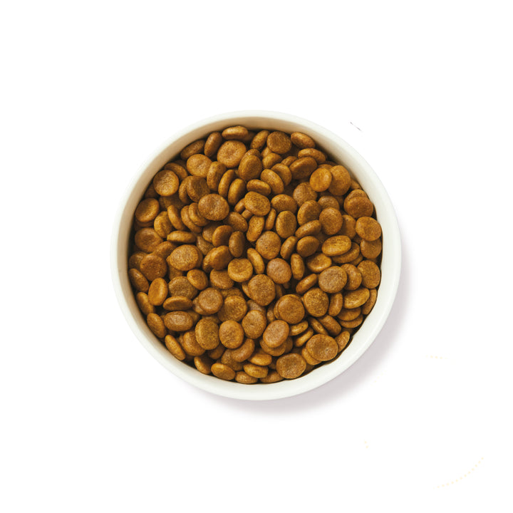 Lily's Kitchen Adult Dog Food with Venison & Duck