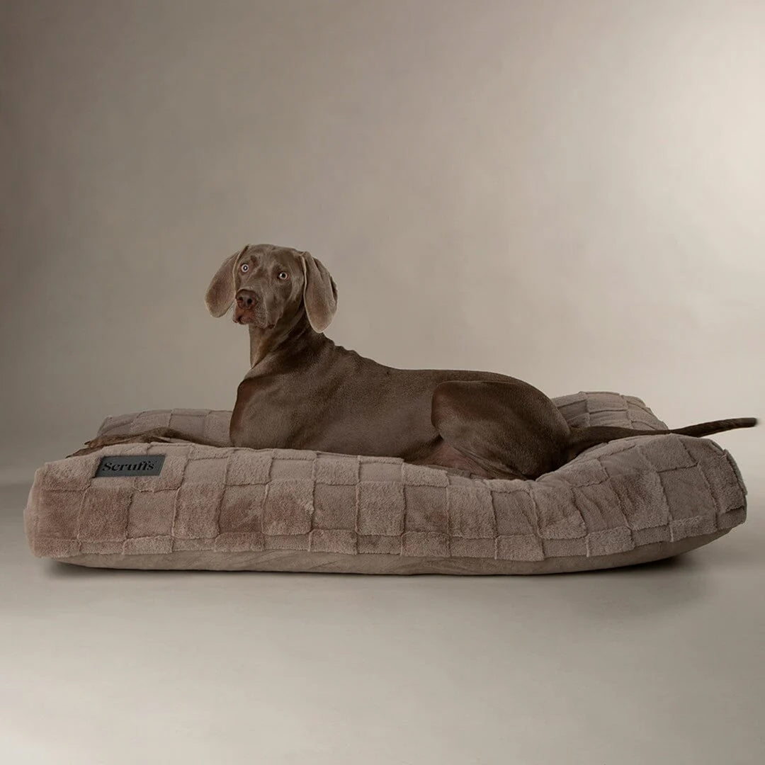 Scruffs Oxford Dog Mattress
