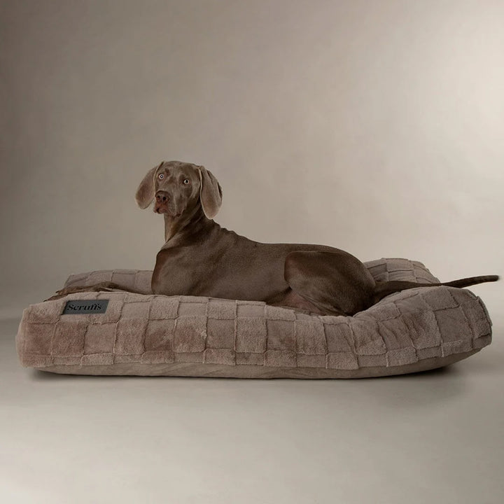 Scruffs Oxford Dog Mattress