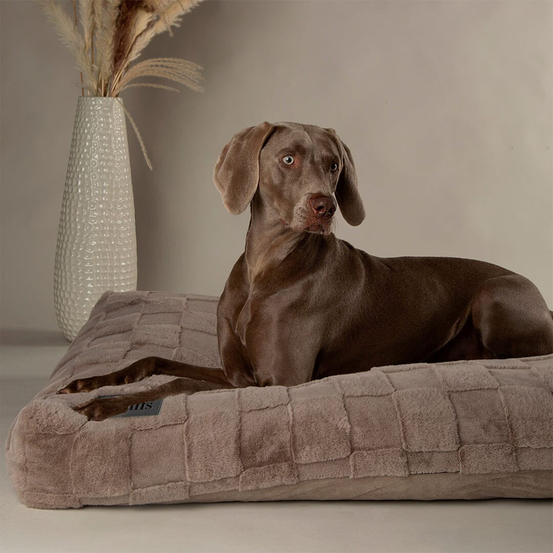 Scruffs Oxford Dog Mattress