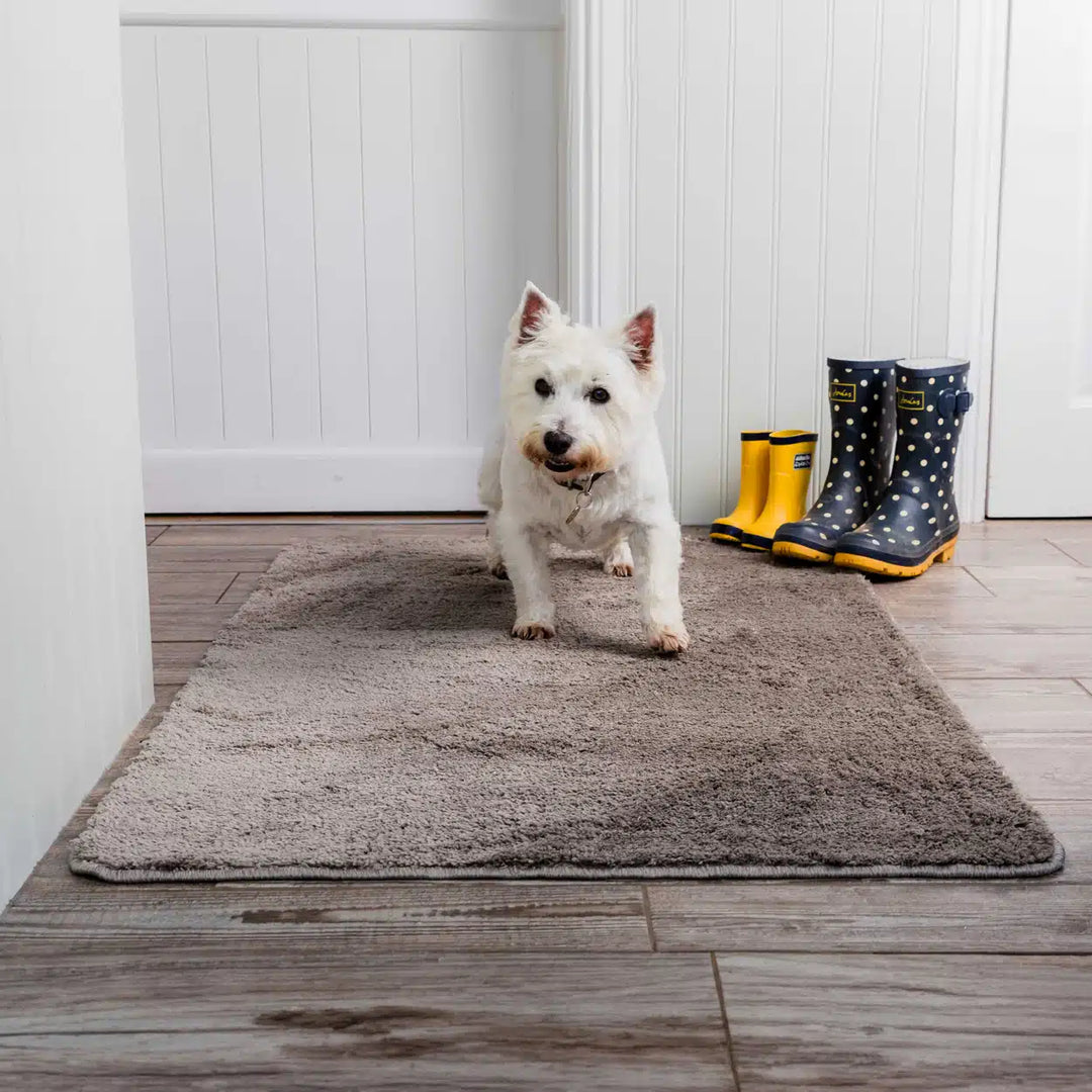 Pet Rebellion Big Softie Rug