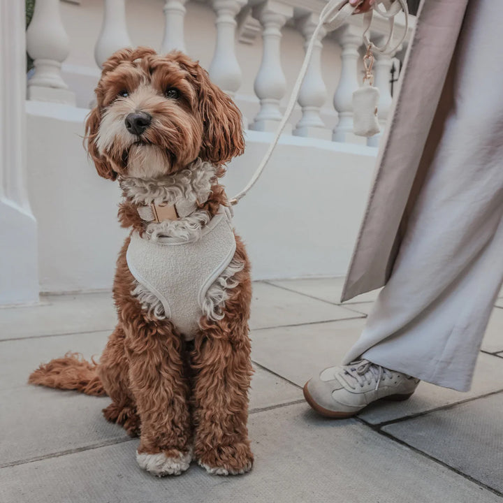 By Teddy Bouclé Dog Harness