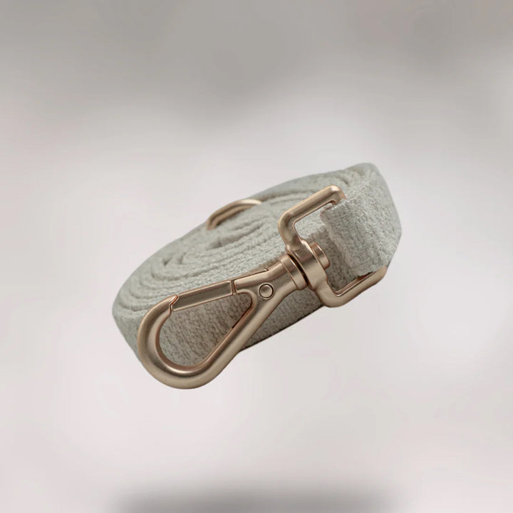 By Teddy Bouclé Dog Lead