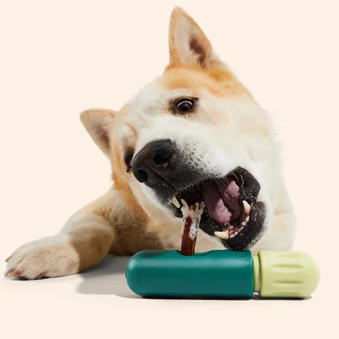 Woof BullySafe Dog Toy