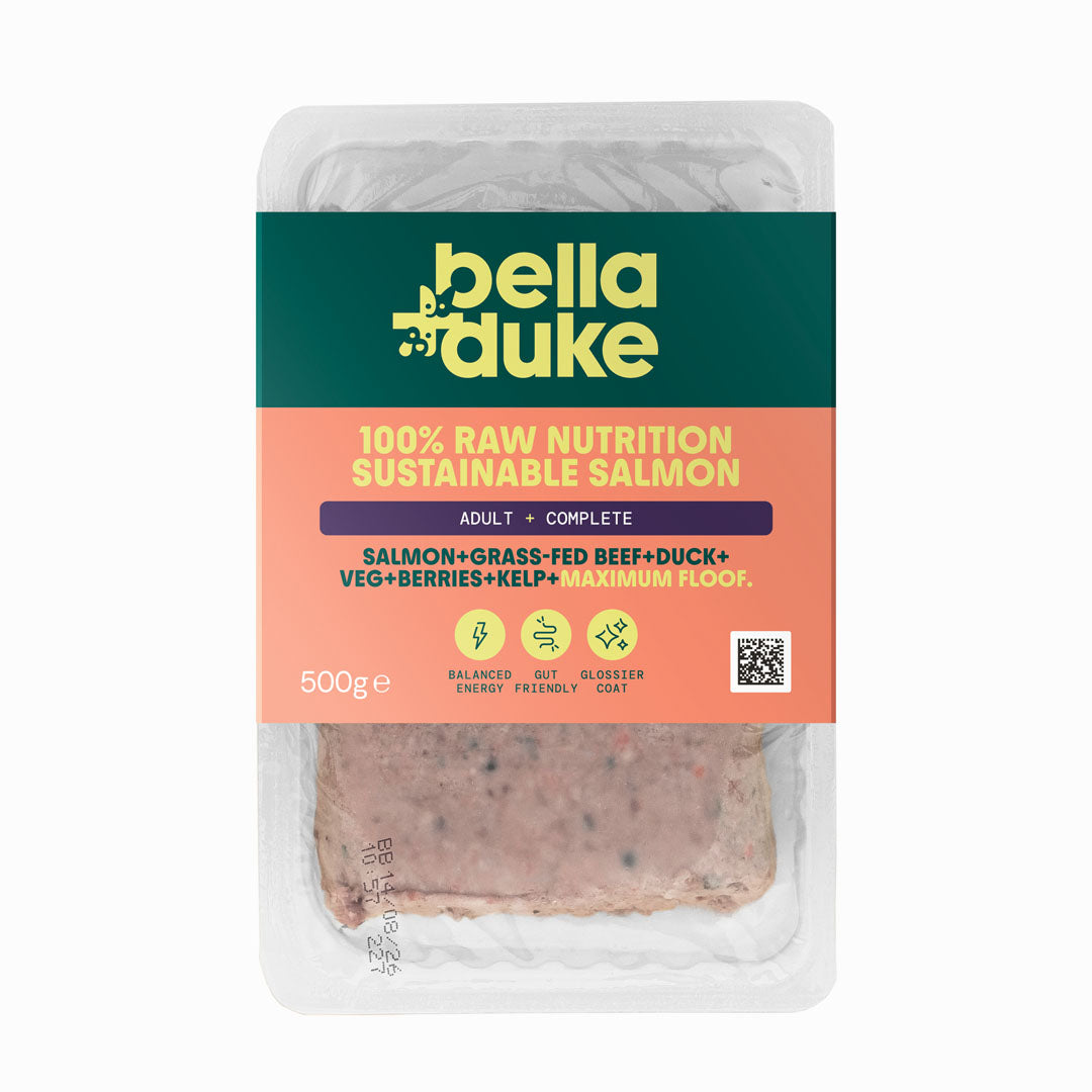 Bella & Duke Sustainable Salmon Raw Dog Food
