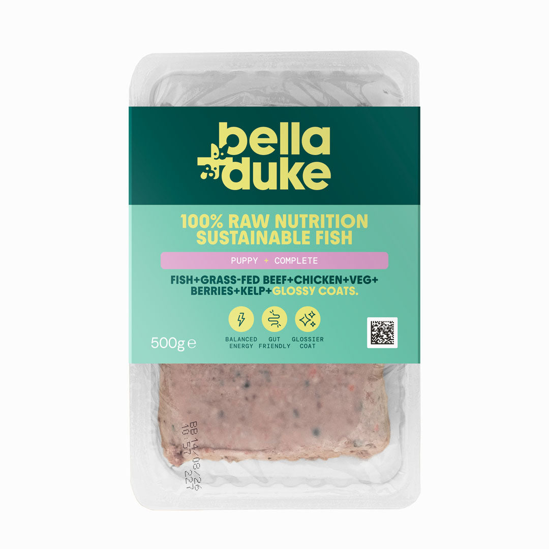 Bella & Duke Super Fish Raw Dog Food
