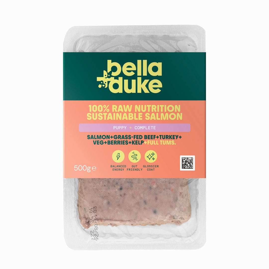 Bella & Duke Sustainable Salmon Raw Puppy Food