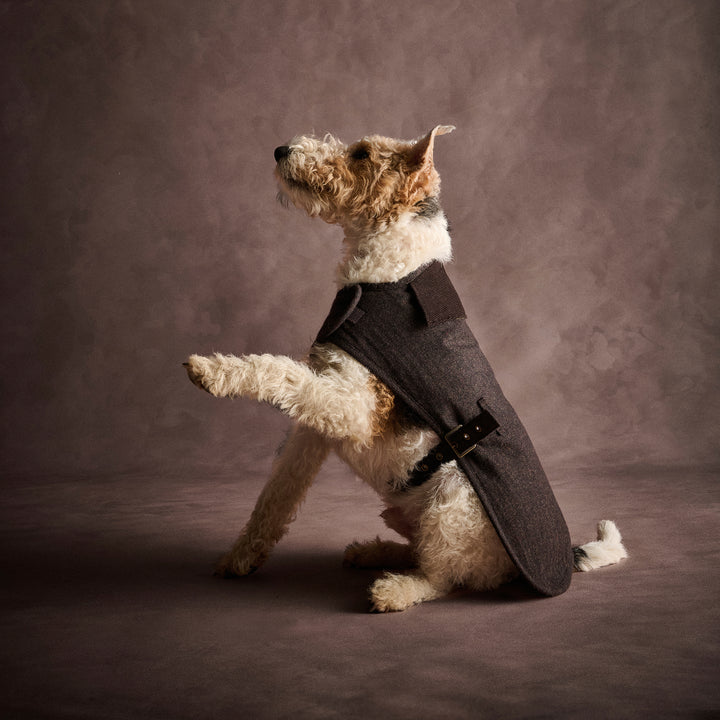 Barbour Barlow Tweed Dog Coat