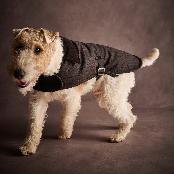 Barbour Barlow Tweed Dog Coat