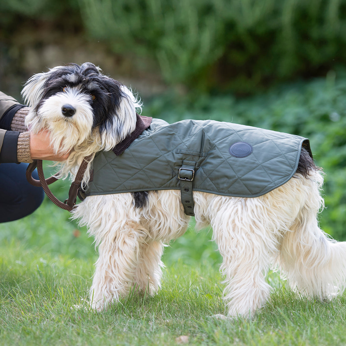 犬服・アクセサリー Barbour quilted dog coat Barbour Quilted Dog Coat | Millbry Hill