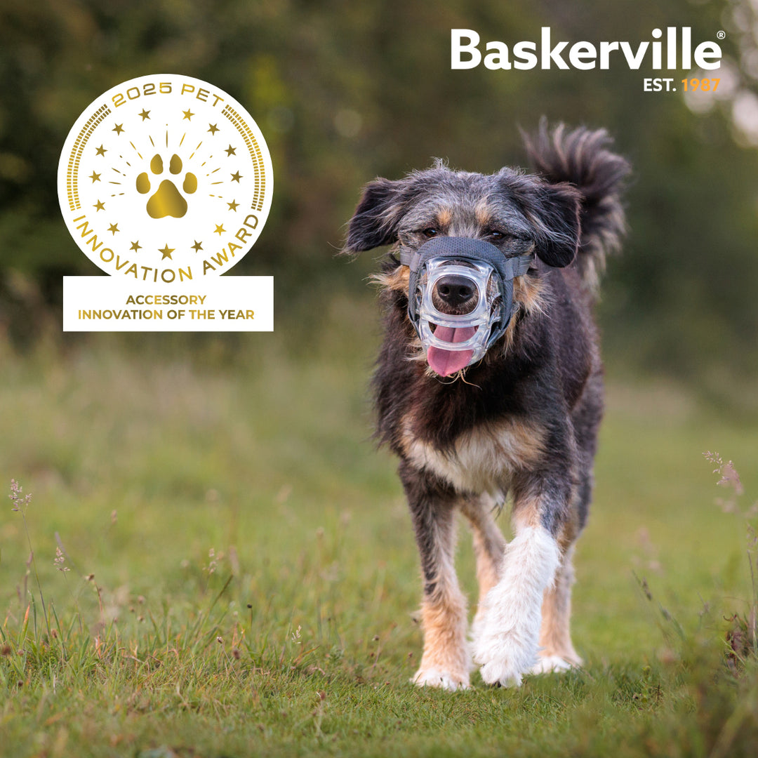 Baskerville Invisa Basket Muzzle