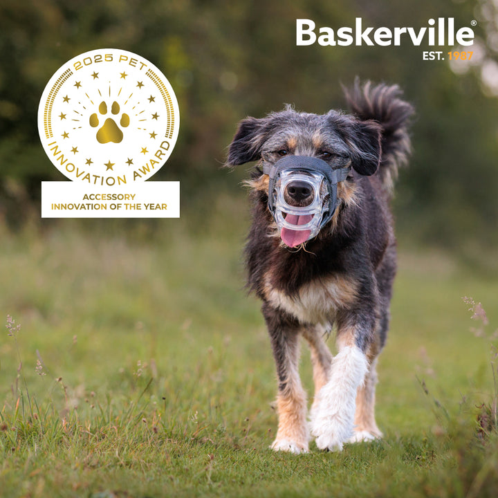 Baskerville Invisa Basket Muzzle