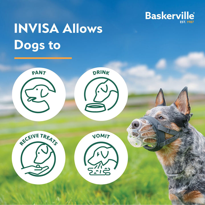 Baskerville Invisa Basket Muzzle