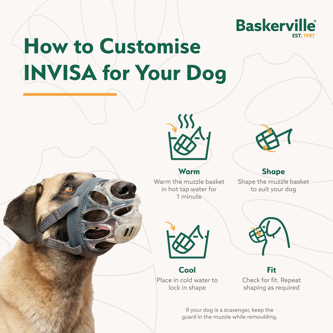 Baskerville Invisa Basket Muzzle