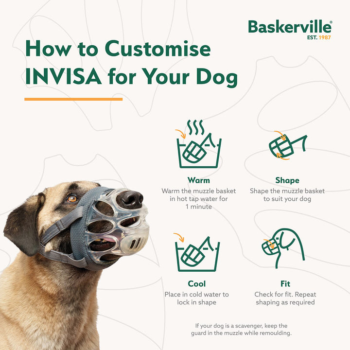 Baskerville Invisa Basket Muzzle