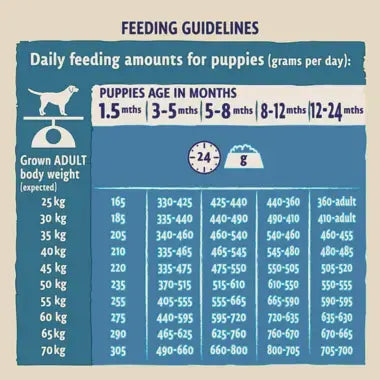 Beta Large Breed Puppy Food with Turkey