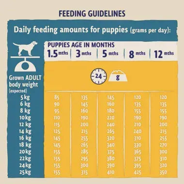 Beta Puppy Food with Chicken