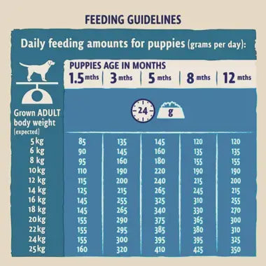 Beta Puppy Food with Turkey & Lamb