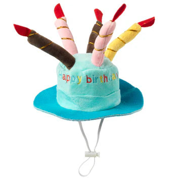 House Of Paws Birthday Candle Cake Hat