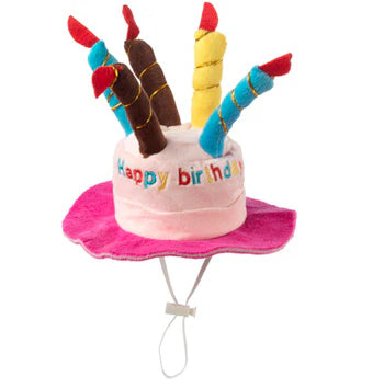 House Of Paws Birthday Candle Cake Hat