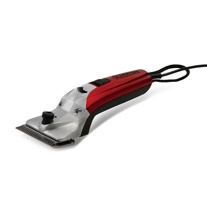 Liveryman Black Beauty Mains