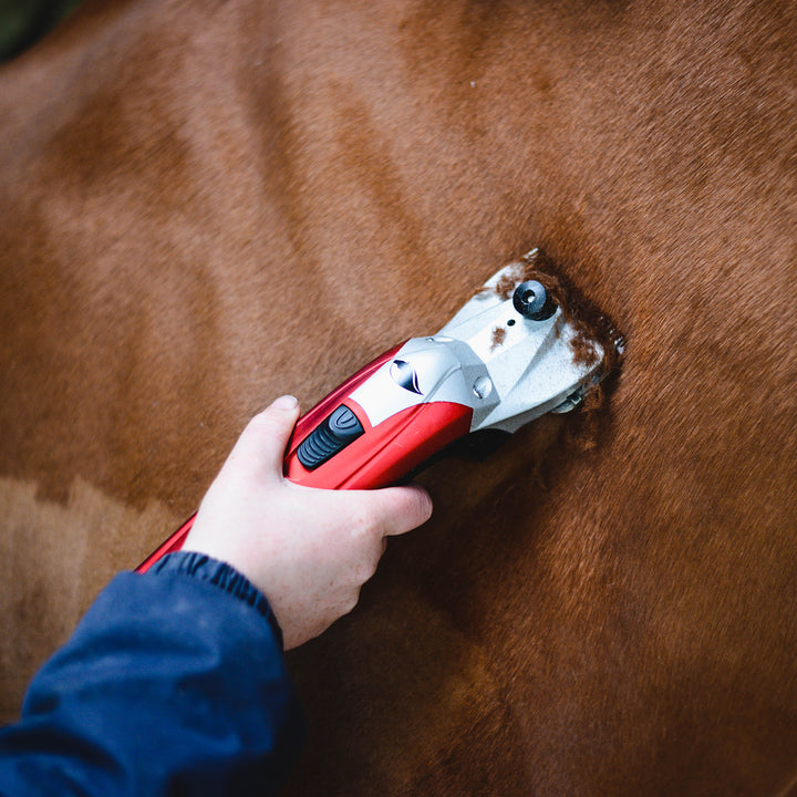 Liveryman Black Beauty with Battery Pack