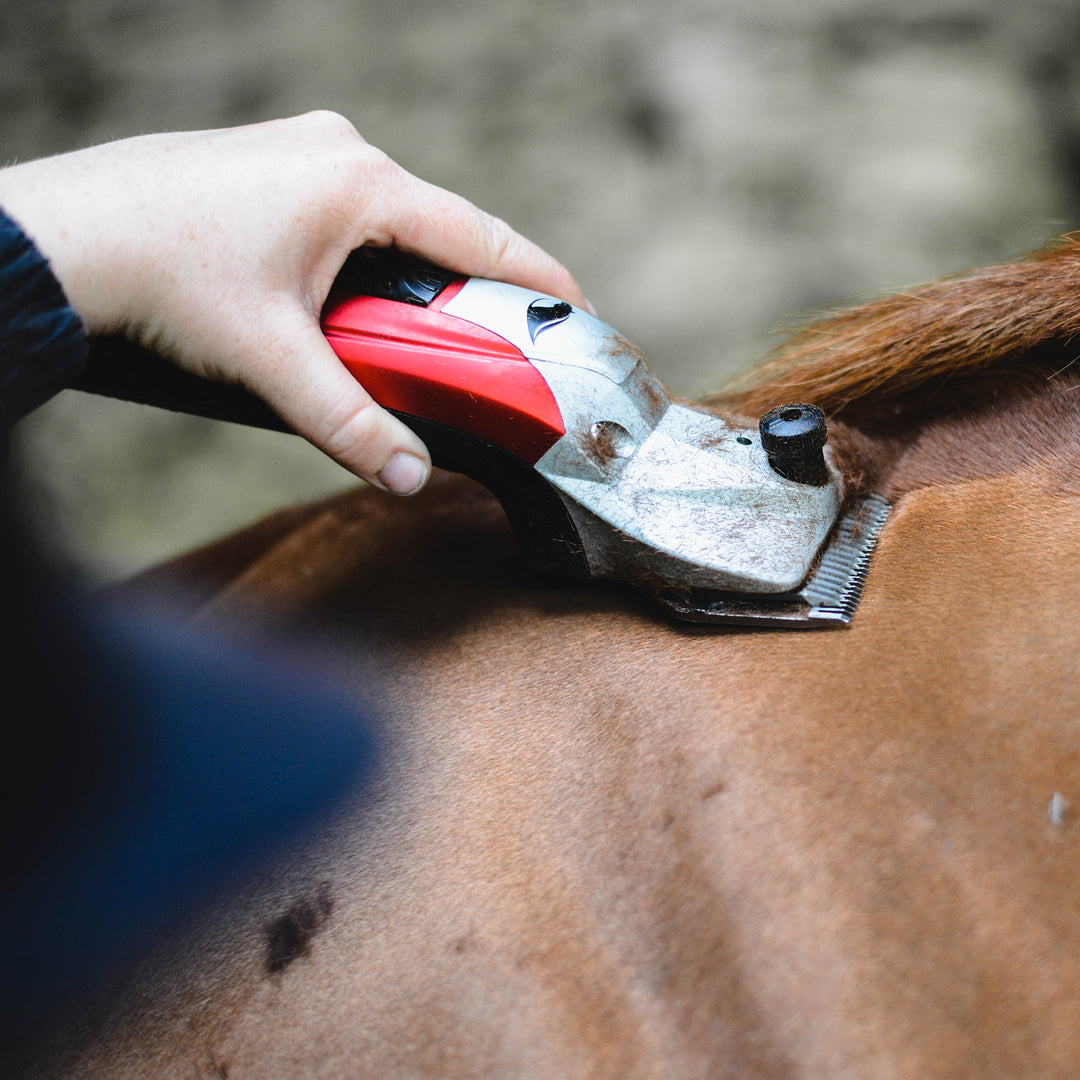 Liveryman Black Beauty with Battery Pack