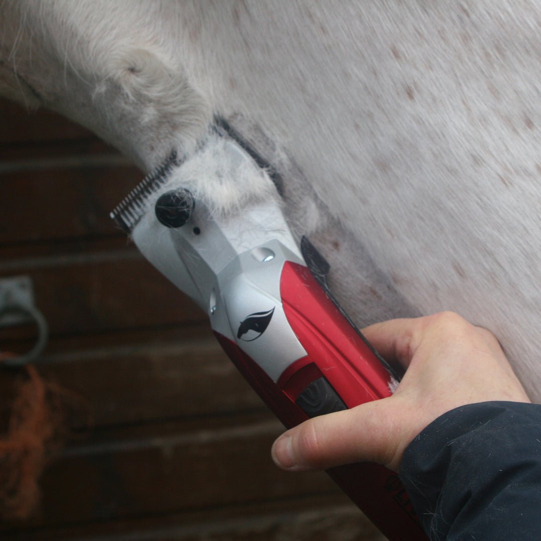 Liveryman Black Beauty with Battery Pack