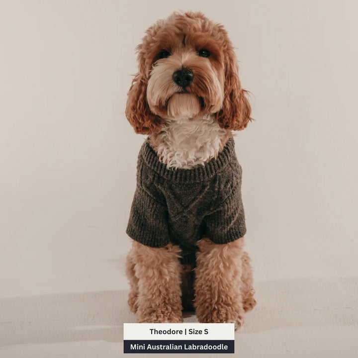 By Teddy Cable Dog Crewneck