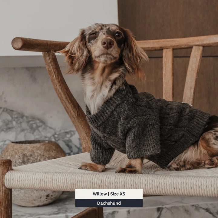 By Teddy Cable Dog Crewneck