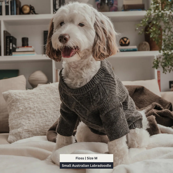 By Teddy Cable Dog Crewneck